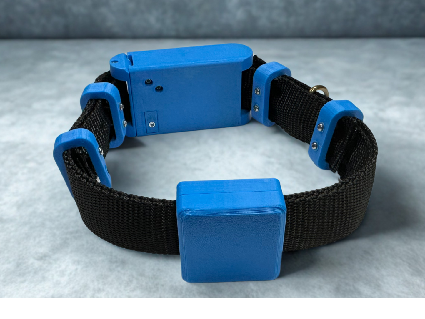 WoofWatch Collar Series 1